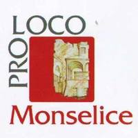 Pro Loco Monselice logo